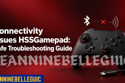Connectivity Issues HSSGamepad